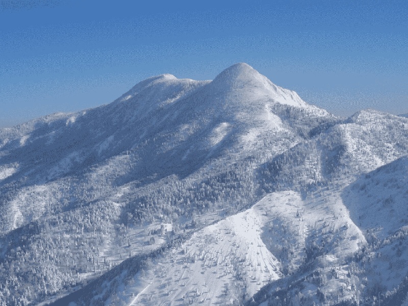试管移植算孕期（长把试管刷）